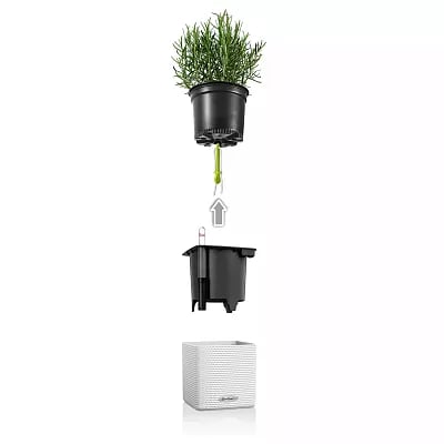 LECHUZA 6er Set Watering Stick