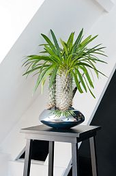 Round Fiberstone Bowl Glossy Tara Planter by Idealist Premium