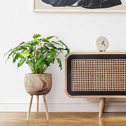 HORTICO TREND Wooden House Planter with Legs, Tall Indoor Plant Pot Stand with Waterproof Liner