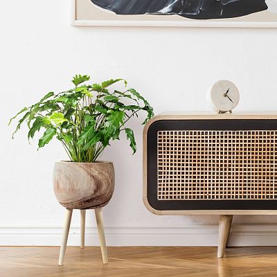 HORTICO TREND Wooden House Planter with Legs, Tall Indoor Plant Pot Stand with Waterproof Liner