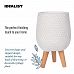 Honeycomb Style Indoor Egg Planter on Legs by Idealist Lite