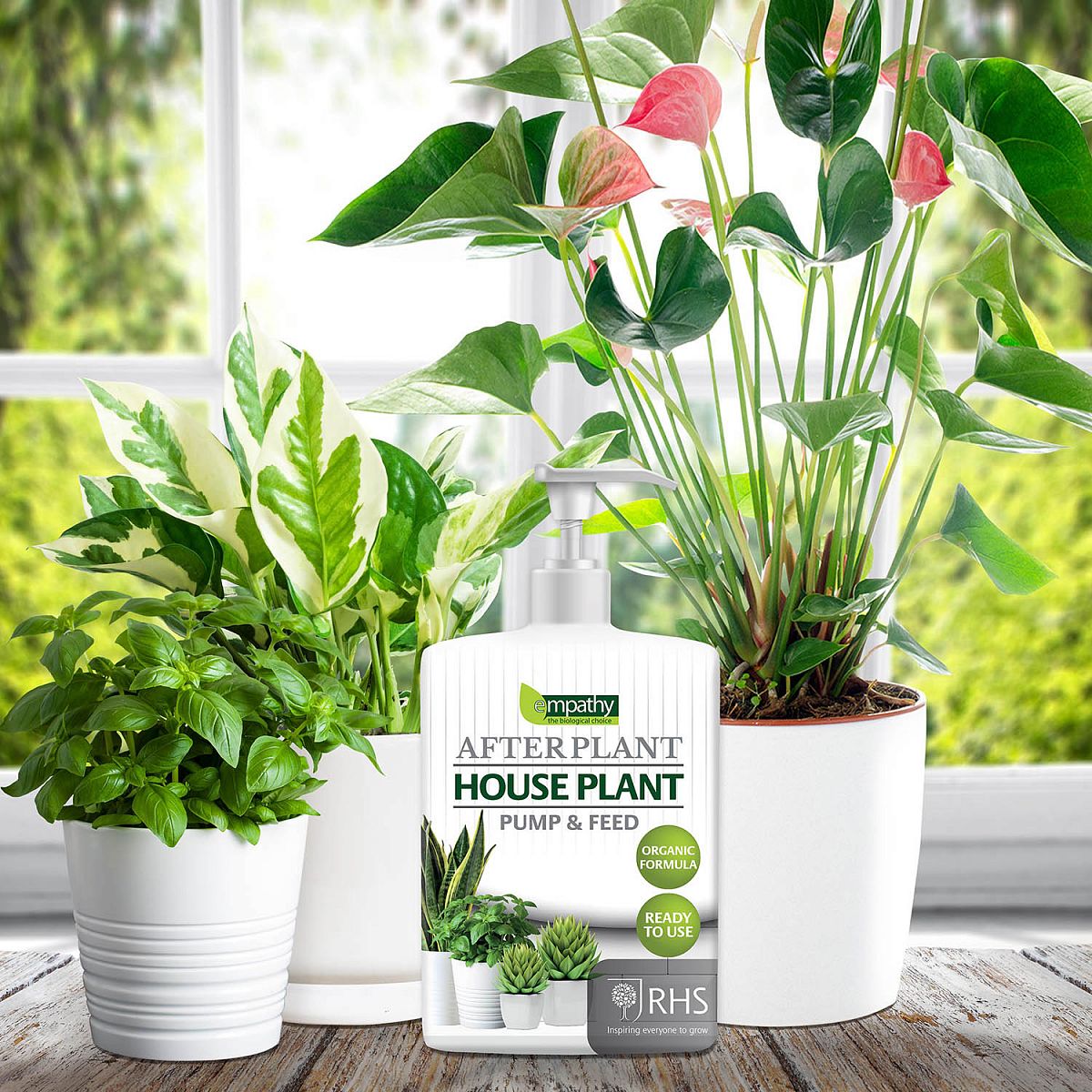Plant Fertiliser for House Plants Empathy After Plant Organic Ready to Use Biostimulant