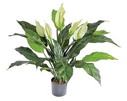 Spathiphyllum Artificial Flower Plant