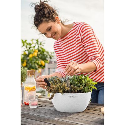 LECHUZA CUBETO COLOR Round Stone Look Poly Resin Self-watering Planter