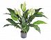Spathiphyllum Artificial Flower Plant