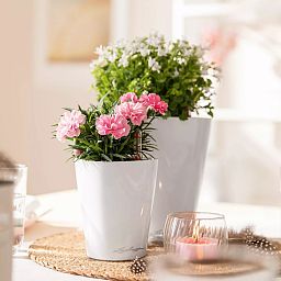 LECHUZA DELTINI|MINI-DELTINI Round Poly Resin Indoor Self-watering Planter