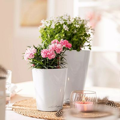 LECHUZA DELTINI|MINI-DELTINI Round Poly Resin Indoor Self-watering Planter