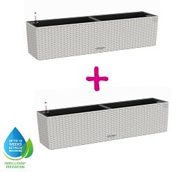 LECHUZA BALCONERA Cottage Trough Poly Resin Self-watering Planter Set