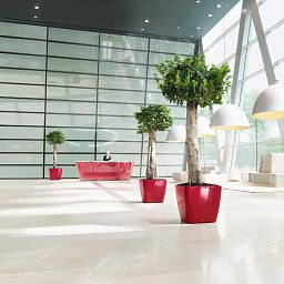 LECHUZA Quadro LS Square Poly Resin Self-watering Planter