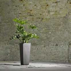 Ceramic Tapered Square Tall Matte Planter Pot In/Out