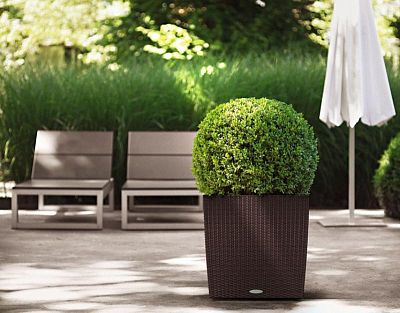 LECHUZA CUBE Cottage Square Poly Resin Self-watering Planter