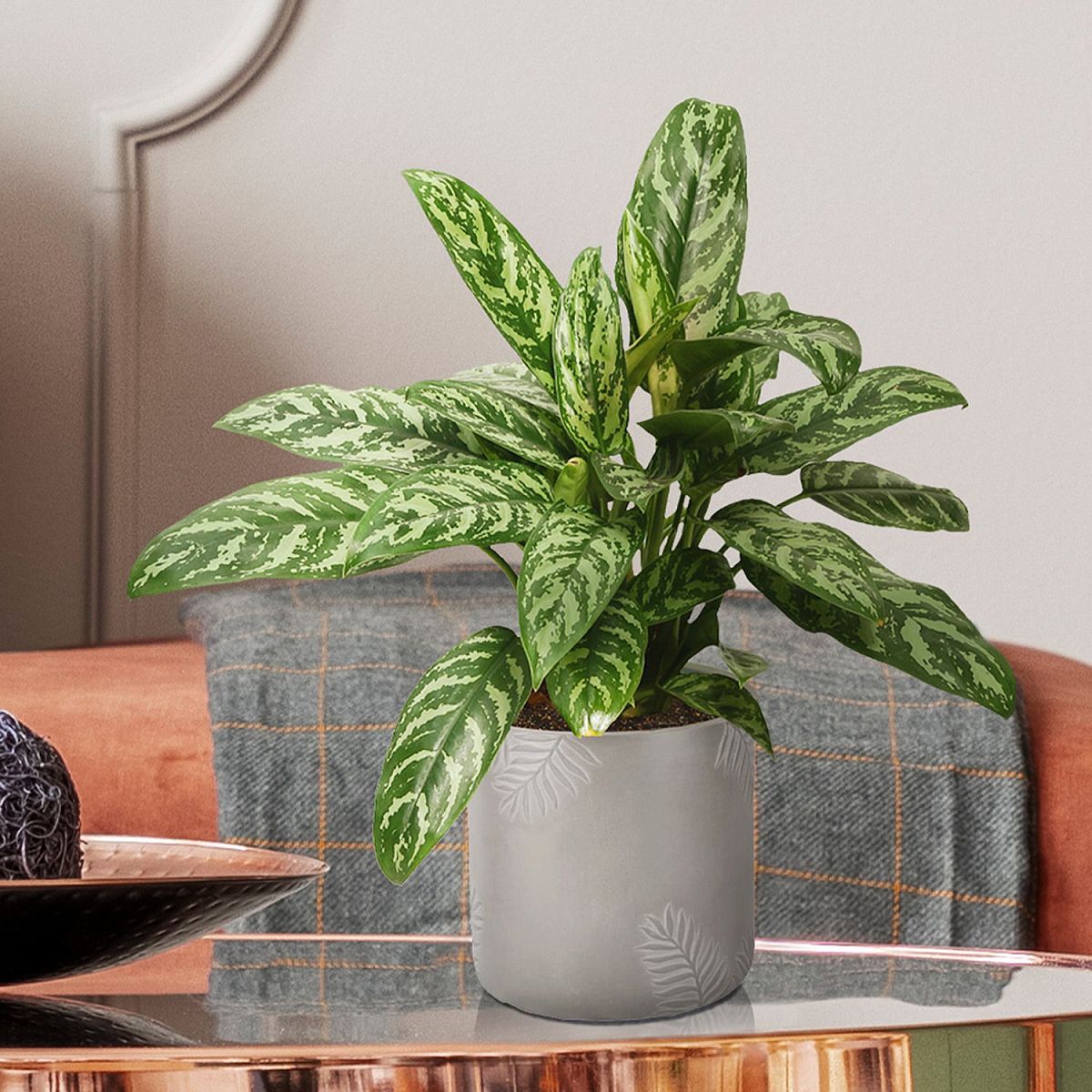 Leaf Embossed Table Indoor Cylinder Round Plant Pot by Idealist Lite
