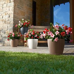 LECHUZA CLASSICO Color Round Poly Resin Self-watering Planter Set