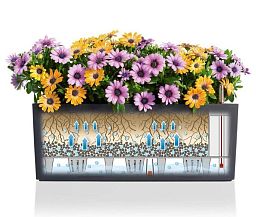 LECHUZA BALCONERA Cottage Trough Poly Resin Self-watering Planter Set