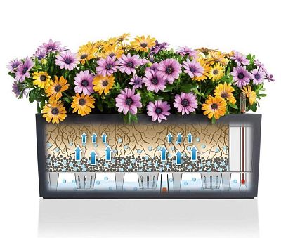 LECHUZA BALCONERA Cottage Trough Poly Resin Self-watering Planter Set