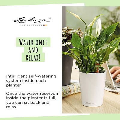 LECHUZA DELTINI|MINI-DELTINI Round Poly Resin Indoor Self-watering Planter