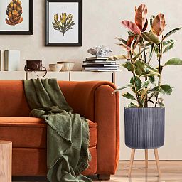 IDEALIST Lite Ribbed Cylinder Planter on Legs, Round Pot Plant Stand Indoor