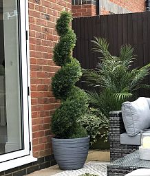 IDEALIST Lite Row Light Concrete Egg Planter