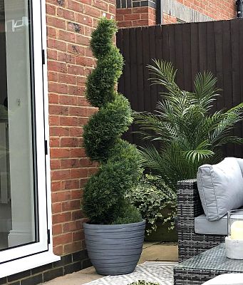 IDEALIST Lite Row Light Concrete Egg Planter