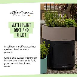 LECHUZA PILA Color Stick Square Poly Resin Self-watering Planter