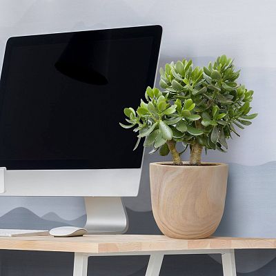 HORTICO RADIAL Wooden House Planter Round Indoor Plant Pot for House Plants with Waterproof Liner