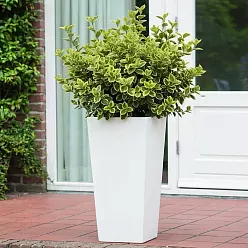 IDEALIST Lite Tall Tapered Contemporary Light Concrete Planter