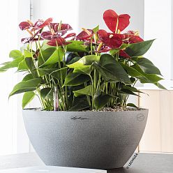 LECHUZA CUBETO COLOR Round Stone Look Poly Resin Self-watering Planter