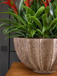 Composits Polystone Rock Bowl Indoor Planter Pot