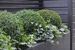 AXIS Trough Outdoor Fiberglass Planter