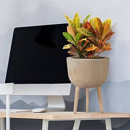 HORTICO GAIA Wooden House Planter with Legs, Tall Indoor Plant Pot Stand with Waterproof Liner