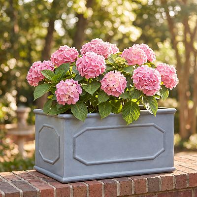 IDEALIST Lite Faux Lead Chelsea Light Concrete Through Planter