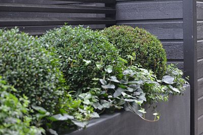AXIS Trough Outdoor Fiberglass Planter
