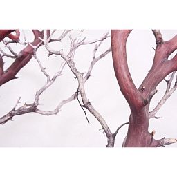 Manzanita Brown Branchy Artificial Branch
