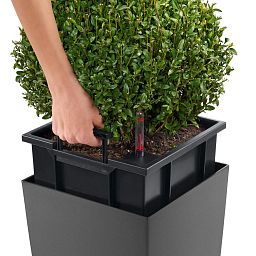 LECHUZA CUBICO Square Tall Poly Resin Self-watering Planter