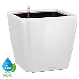 LECHUZA Quadro LS Square Poly Resin Self-watering Planter