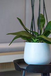 Fibrestone Matt Kevan Round Planter by Idealist Premium