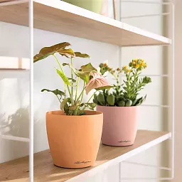 LECHUZA CLASSICO Color DECO Round Poly Resin Indoor Planter