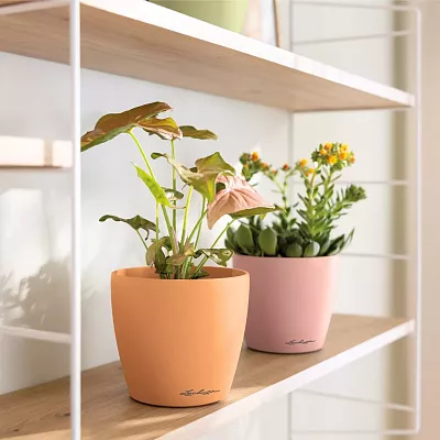 LECHUZA CLASSICO Color DECO Round Poly Resin Indoor Planter