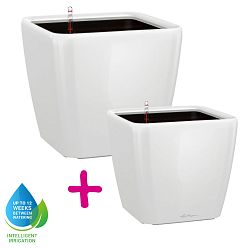 LECHUZA Quadro LS Square Poly Resin Self-watering Planter Set