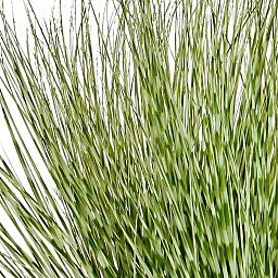 Zebra in metal pot Artificial Grass Plant