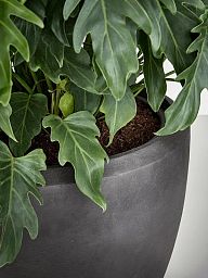 Composits Polystone Couple Round Indoor Planter Pot