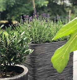 Square Resin Planter by Cadix Capi Tutch Ribbed