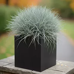 IDEALIST Lite Square Box Contemporary Light Concrete Planter