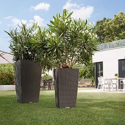 LECHUZA CUBICO Cottage Square Tall Poly Resin Self-watering Planter
