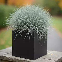 IDEALIST Lite Square Box Contemporary Light Concrete Planter