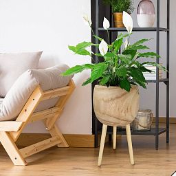 HORTICO TREND Wooden House Planter with Legs, Tall Indoor Plant Pot Stand with Waterproof Liner