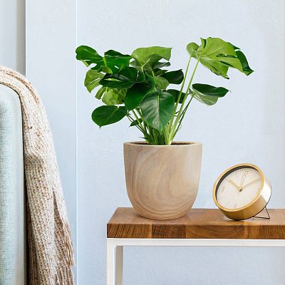 HORTICO RADIAL Wooden House Planter Round Indoor Plant Pot for House Plants with Waterproof Liner