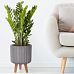 IDEALIST Lite Modern Ribbed Cylinder Planter on Legs, Round Pot Plant Stand Indoor