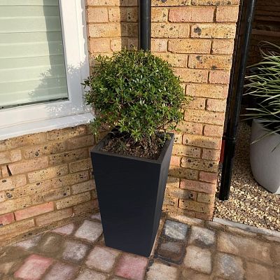 IDEALIST Lite Tall Tapered Contemporary Light Concrete Planter