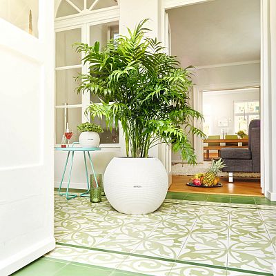 LECHUZA PURO Color Round Poly Resin Self-watering Planter